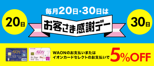 イオンカード 基本waon一体型 の特徴やメリット デメリットは 株式会社zuu 金融 ｉｔでエグゼクティブ層の資産管理と資産アドバイザーのビジネスを支援