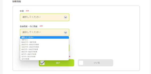 DMM FX口座開設フォーム(財務情報)