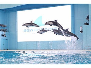 横浜シーパラダイス