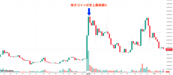 柴犬コインのチャート2024年