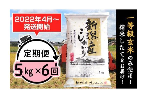 21年ふるさと納税 お米ランキング コスパ 還元率 即日発送で比較 Net Money 個人投資家のための経済金融メディア 21年ふるさと納税 お米ランキング コスパ 還元率 即日発送で比較 Net Money 個人投資家のための経済金融メディア
