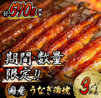 商品画像_うなぎ蒲焼3尾(計570g以上)国産鰻(ウナギ・さんしょう・たれセット)