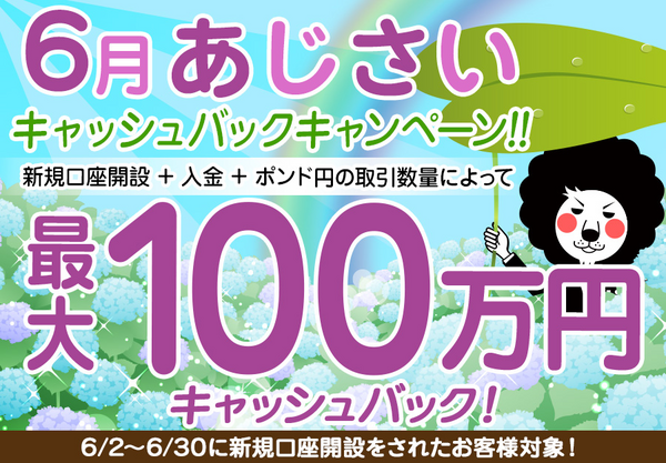 ヒロセ通商 6月あじさいキャッシュバックキャンペーン