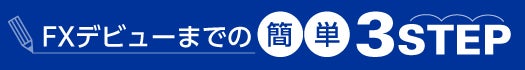 楽天ビギナーズガイド