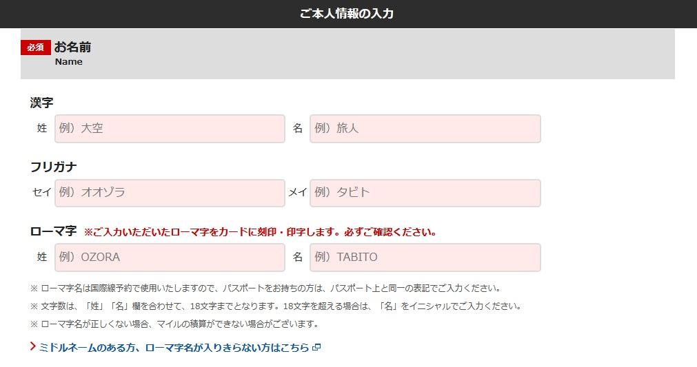 必要情報を入力して審査終了を待つ